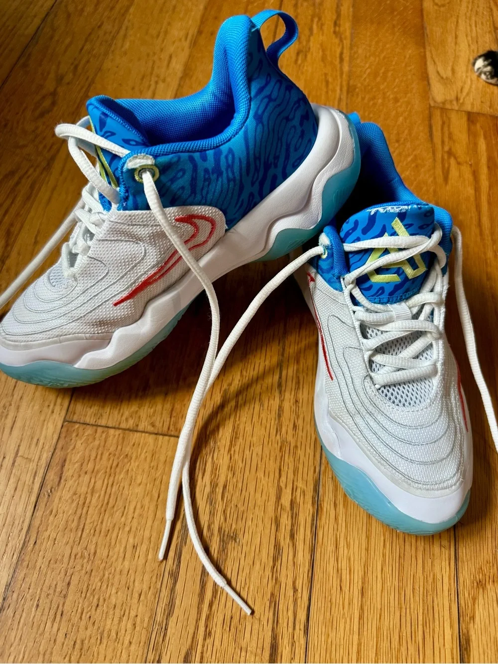Kids Nike Giannis Blue and White basketball shoes